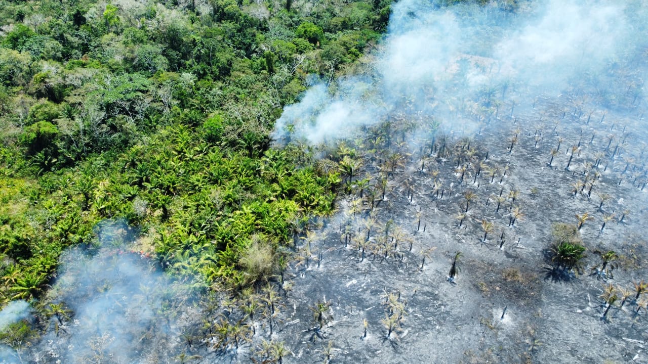 The impacts of the 2023 wildfires on Tacana communities 