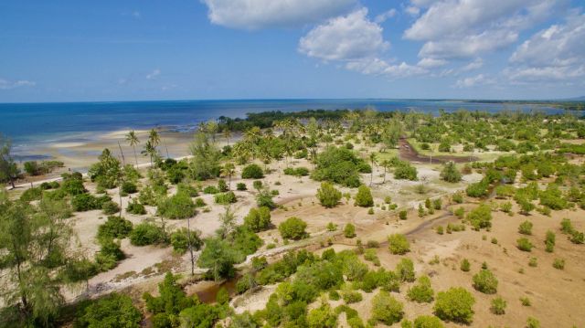 Mangrove restoration area in Vanga, Kenya. If protected and restored, Mangrove forests could protect up to 18 million people globally from coastal flooding. Photo: GRIDArendal 