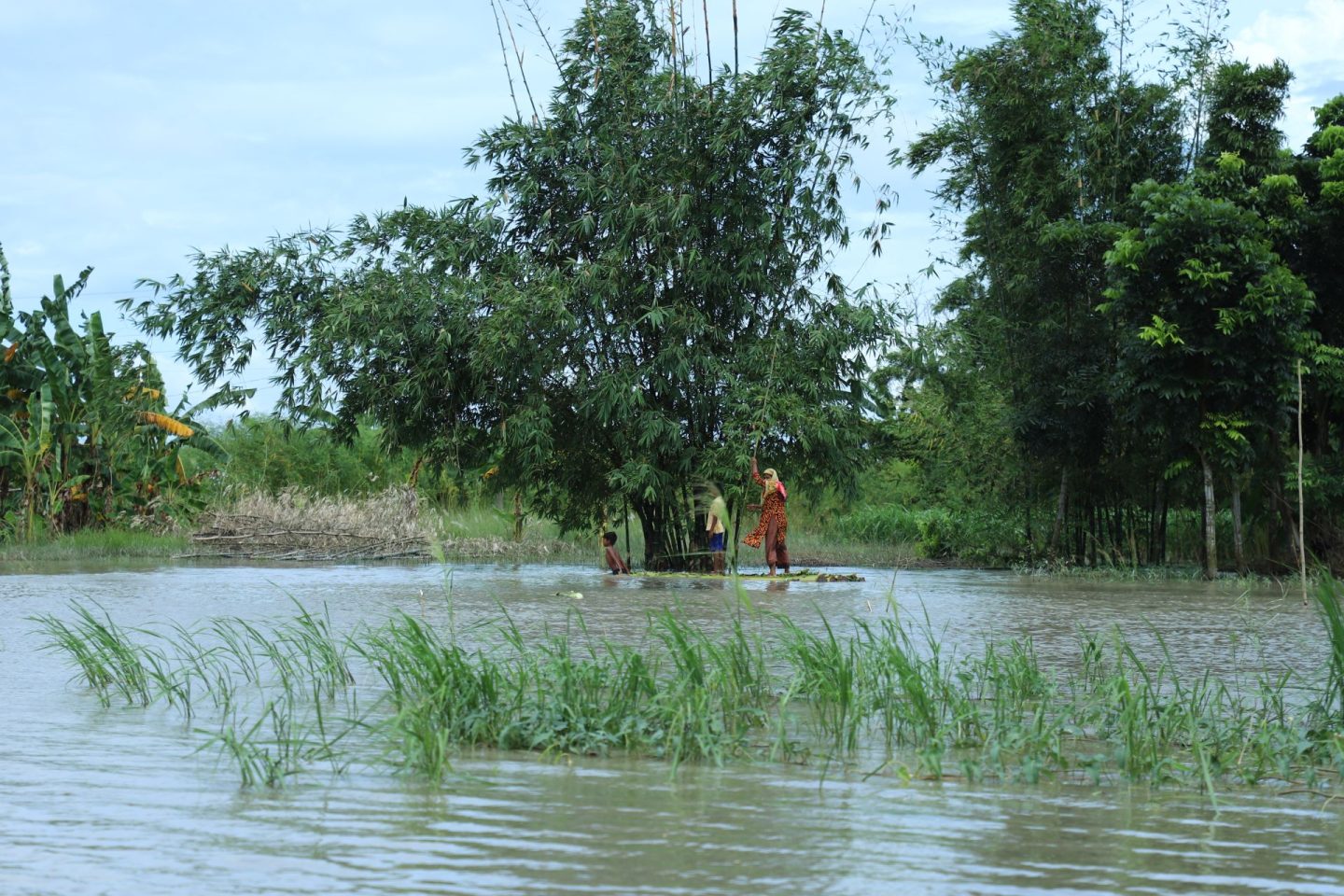 The Zurich Climate Resilience Alliance at COP29