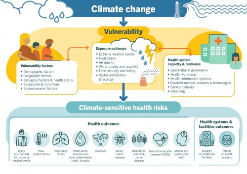 An overview of climate-sensitive health risks, their exposure pathways and vulnerability factors. Climate change impacts health both directly and indirectly, and is strongly mediated by environmental, social and public health determinants.