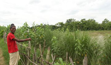 Rongali next to his community's bio-dyke