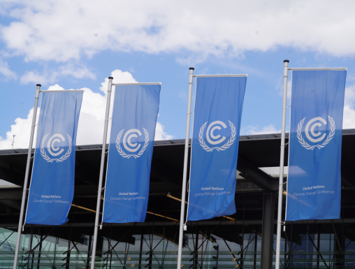 Bonn Climate Conference: little progress on the road to Baku 