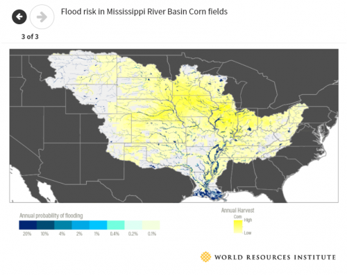 Flood risk in Mississippi river basin corn fields