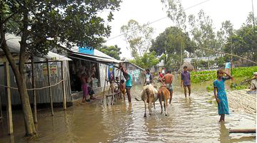 Flooding in community in Bangladesh 