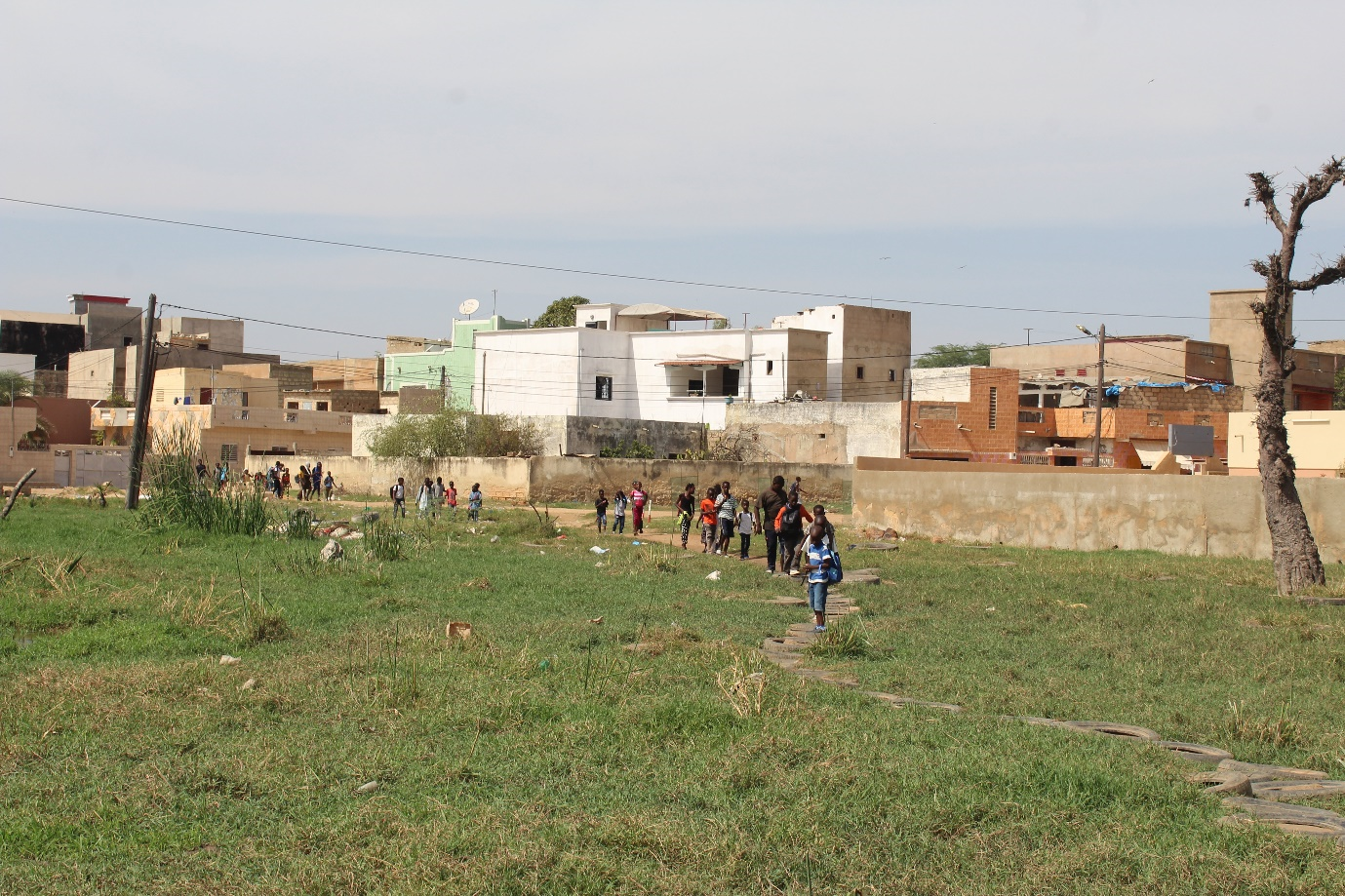 An area of unmanaged grass in the community of Thialy. It is constantly waterlogged and people must use the makeshift path. Many of the houses nearby are abandoned.