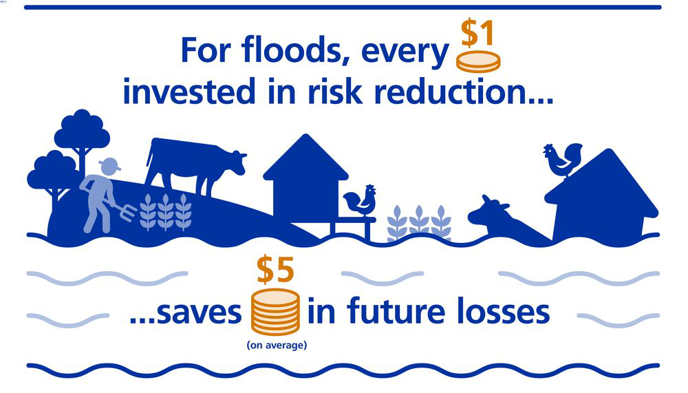 For floods every $1 invested in risk reduction saves on average $5 in future losses. 