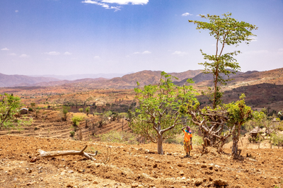 During the dry season in Ethiopia, there is no water in the river and farmers must dig through the sand until they hit water. 