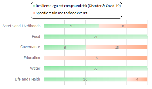 Figure 1: Attribution of flood resilience to health component. Some dimensions show a similar pattern in building both flood and health resilience. Other flood-related efforts are too specific and cannot be attributed to resilience against COVID-19.