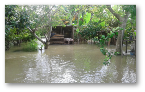 Fields and houses in the Torno Largo 2da Sección were flooded in November 2020