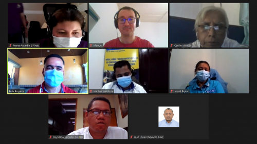 Plan International colleagues during virtual visit. 