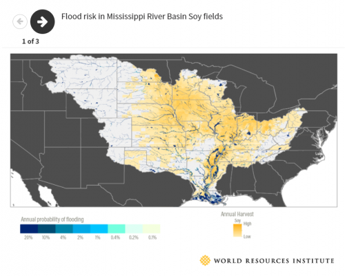 Flood risk in Mississippi river basin soy fields