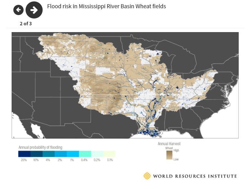 Flood risk in Mississippi river basin wheat fields